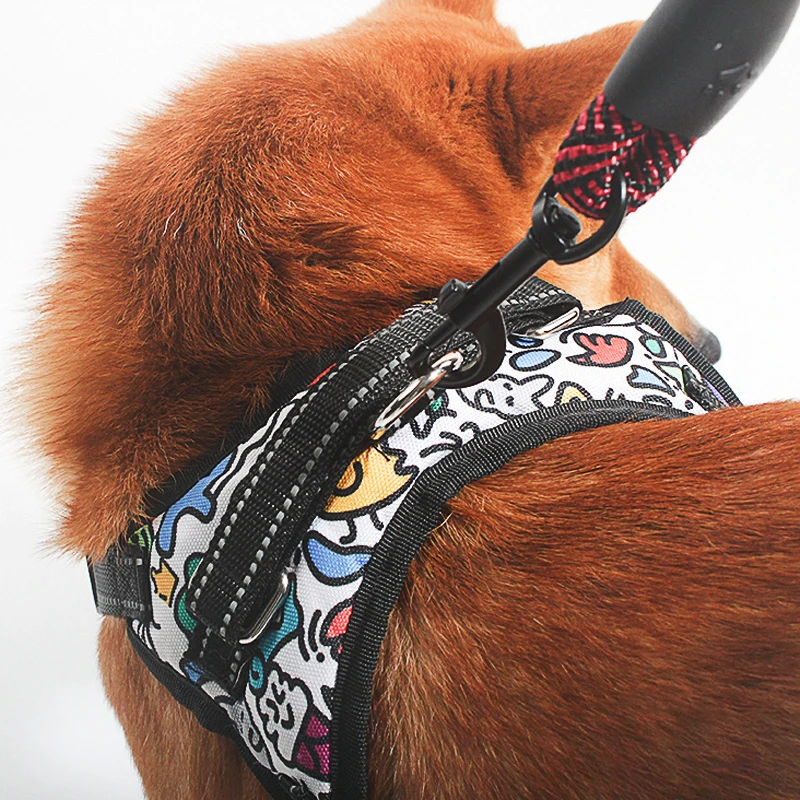 Pet Reflective Leash Nylon Round Leash Explosionproof Punc Dog Walking Round Without Strangulation Lead Walking Dog Leashes - Image 6