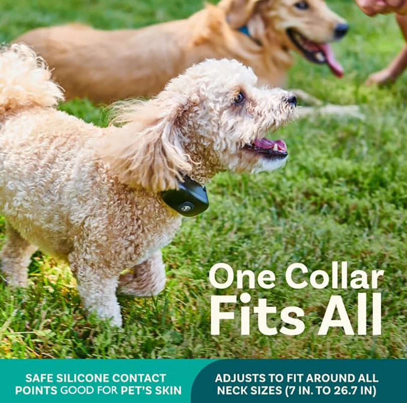 2 IN 1 Wireless Electronic Dog Fence System & Remote Training Collar Beep Shock Vibration and Pet Containment For All Puppy Size - Image 4