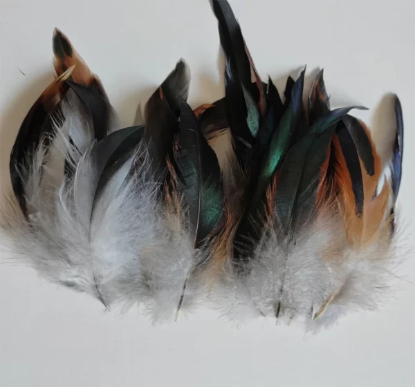 Decoration Accessories! 200Pcs/Lot! Nature Colors Saddle Badger Rooster Feathers 4-6 Inches Long,Plumas Decorativas - Image 3