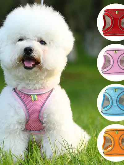 Cat Harness Vest Walking Lead Leash For Puppy Dogs Collar Adjustable Dog Harness For Small Medium Pet Accessories