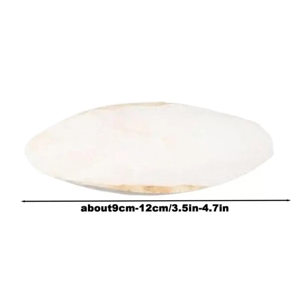 10pcs Cuttlefish Sepia Bone Parrot Chewing Cuttle Bone Bird Food Calcium Pickstone Parakeets Budgies Cockatiels Cuttlebone Toy - Image 11