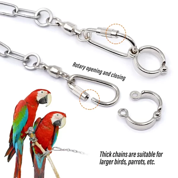 Parrot Leg Ring Ankle Foot Chain Bird Ring Outdoor Flying Training Activity Opening Stand Accessories for Small Bird  Supplies - Image 13