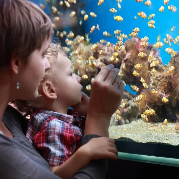 Filter Aquarium Sponge Pad Tank Media Floss Pond Tanks Foam Roll Cotton Biochemical Biological Filters Wool Canister Filtration - Image 2