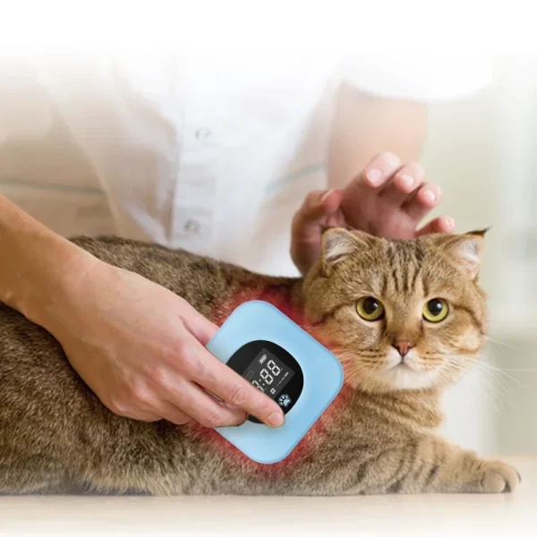 Pet supplies 808nm di--ode other veterinary instrument red light therapy panel - Image 5
