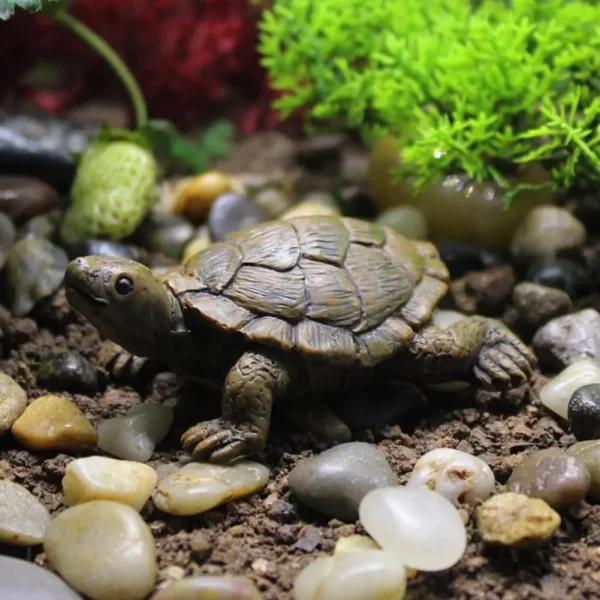Collectible Fine Texture Miniature Figurine Simulation Small Tortoise Ornament Garden Accessories - Image 6