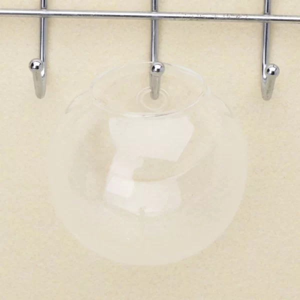 Glass Vase Wall Hanging Hydroponic Terrarium Fish Tanks Potted Plant Flower pot - Image 4