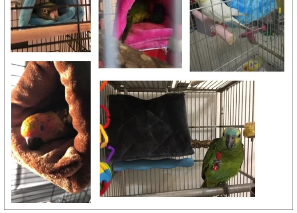 Winter Pet Bird Parrot Cages Warm Plush Hammock Hut Tent Bed Hanging Cave for Sleeping and Hatching Bird Accessories - Image 11