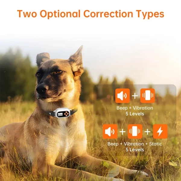 Smart GPS Pet Electronic Fence Wireless Pet Enclosure Waterproof Outdoor Training Collar for Dogs Pet Products Accessories - Image 4