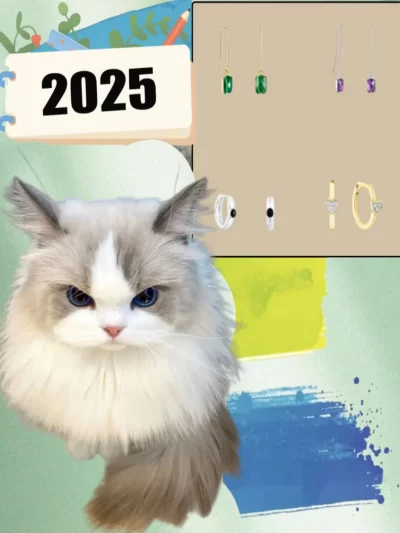 2025 New high-end Spanish fashion cat accessories fashionable pet gifts holiday party gifts high-quality high-end products