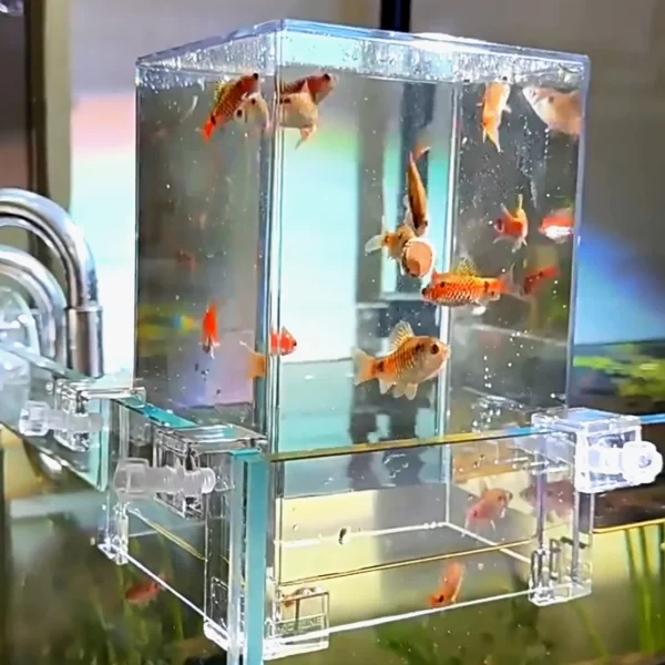 Fish Elevator Water Auto-Refill Negative Pressure Suspended Fish Tank Aquarium Decoration Increase Pets Fish Activity Area - Image 2