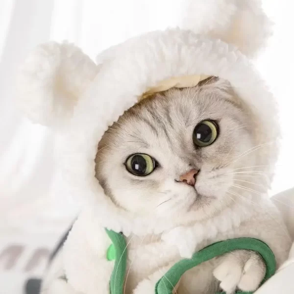 Cute Bear Rabbit Hooded Pet Cat Dog Accessories Cosplay Cat Hat Winter Lovely New Year Puppy Headgear Soft Velvet Pets Supplies - Image 13