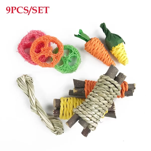 31/14/9/7pcs Guinea Pig Rabbit Chew Toys Tooth Cleaning Toy for Bunny Hamster Molar Toys for Teeth Health Rabbit Accessories - Image 3