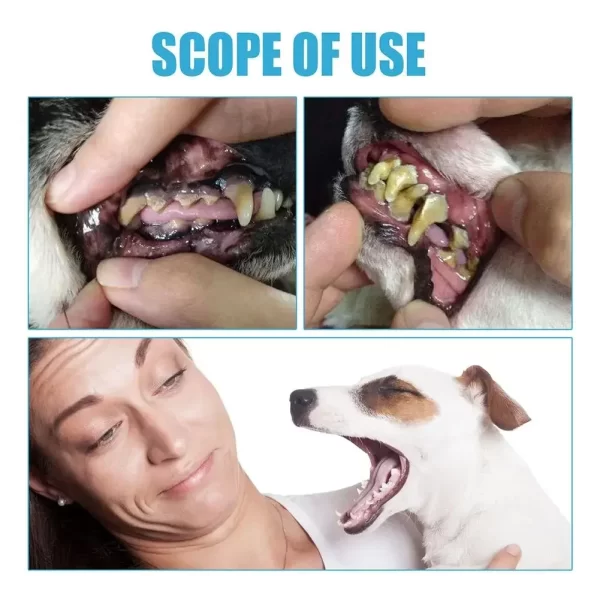 Pet Toothpaste Cat Dog Fresh Breath Toothpaste Dog Edible Cleaning Oral Plaque Tartar Pet Toothpaste Care Products Deod R6E6 - Image 8