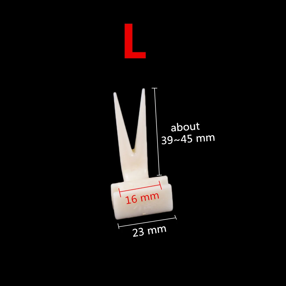 2 Pcs Bird Parrots Fruit Fork Bird Feeder Pet Bird Supplies Plastic Food Holder Feeding On Cage Convenient For Hamster Feeder - Image 7