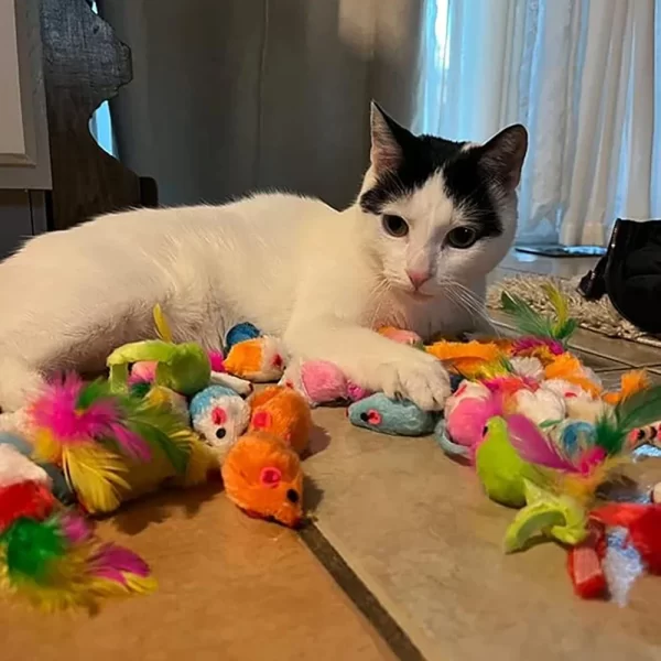 Rattle Cat Mouse Toys Also Prefilled Catnip Faux Fur Cat Mice Toys Interactive Cat Game Catnip Toys for Indoor Cats Play Fetch - Image 6