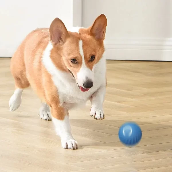Dog Toys Intelligent Gravity Jump Ball Rechargeable Bite-Resistant Rolling Ball Cat And Dog Chase Interactive Pet Toys - Image 3