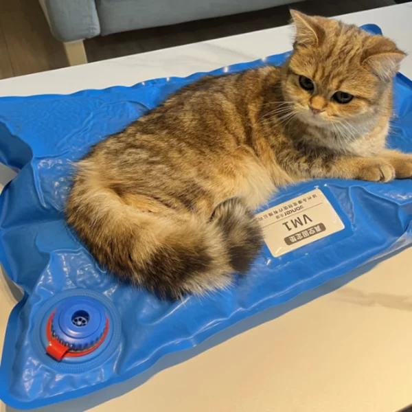 Animal Surgical Accessories Pet Vacuum Positioning Mat Small Veterinary Examination Pad Pet Care Room - Image 4