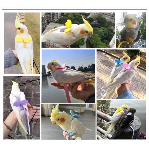 Parrot Flying Harness Leash Suit Macaw Accessories Stuff For Budgie Pet Bird Outdoor Flight Training Rope Cockatiel Supplies NEW - Image 4