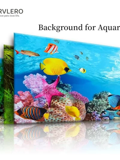 Fish Tank Background High-definition Image 3D Three-dimensional Wallpaper Background Painting Double-sided Aquarium Decoration