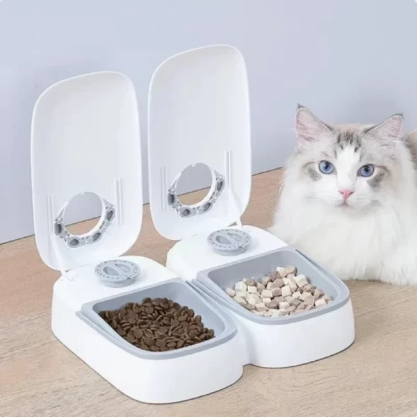 Dog Feeder Cat Automatic Feeding Water Bowl with Timer Pet Food Storage Dispenser  Container Pets Puppy Kitten Accessories - Image 2