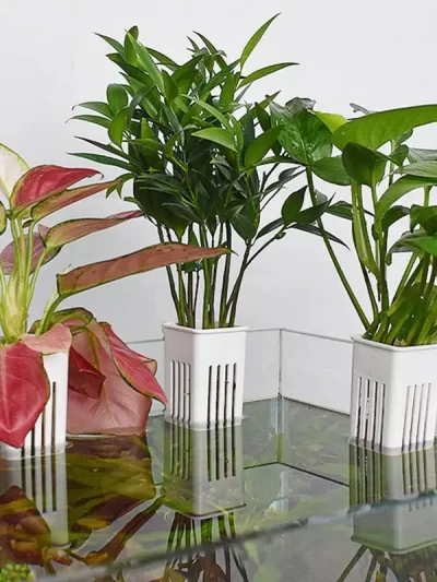 Hanging Aquarium Plant Holder Plastic Aquarium Hooks Planter Cups Planter Baskets Practical Aquatic Pot Box Aquascape Decoration
