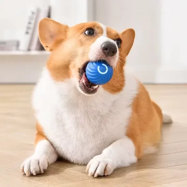 Dog Toys Intelligent Gravity Jump Ball Rechargeable Bite-Resistant Rolling Ball Cat And Dog Chase Interactive Pet Toys - Image 4
