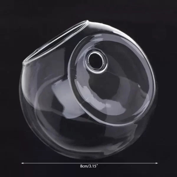 Glass Vase Wall Hanging Hydroponic Terrarium Fish Tanks Potted Plant Flower pot - Image 7