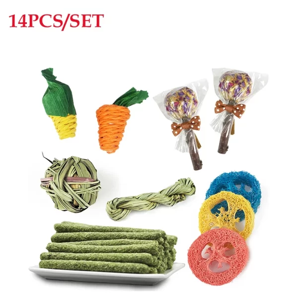 31/14/9/7pcs Guinea Pig Rabbit Chew Toys Tooth Cleaning Toy for Bunny Hamster Molar Toys for Teeth Health Rabbit Accessories - Image 4