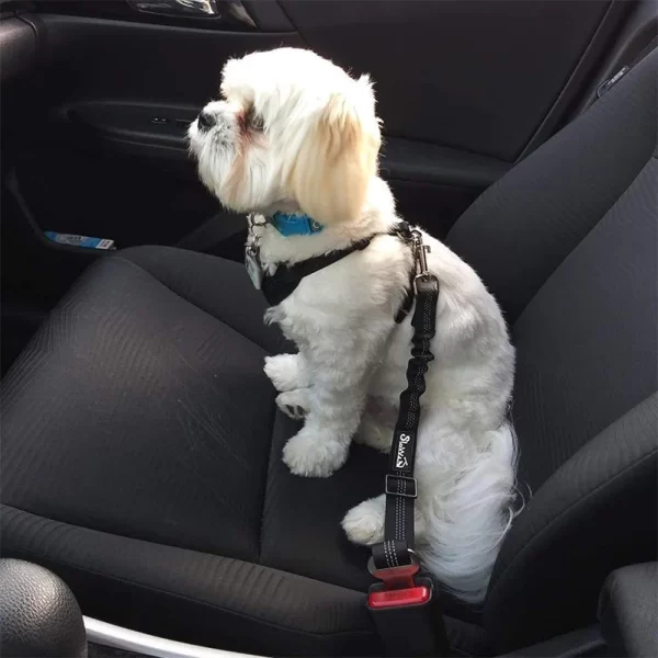 Dog Safety Leash Adjustable Retractable Cushioning Elastic Pet Leash Car Seat Seat Belt Safety Rope Tug Rope - Image 5