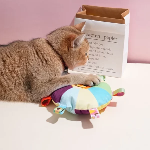 Funny Rainbow Plush Flying Saucer Dog Toys Outdoor Interactive Training Games Chew Toy Pets Flying Discs Toys Dog Accessories - Image 3