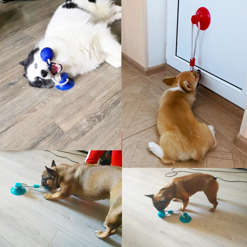 Dog Toys Pet Puppy Interactive Suction Cup Push TPR Ball Toys Molar Bite Toy Elastic Ropes Dog Tooth Cleaning Chewing Supplies - Image 4