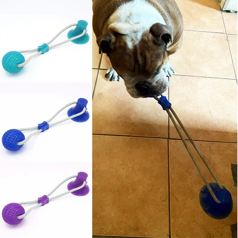 Dog Toys Pet Puppy Interactive Suction Cup Push TPR Ball Toys Molar Bite Toy Elastic Ropes Dog Tooth Cleaning Chewing Supplies - Image 3