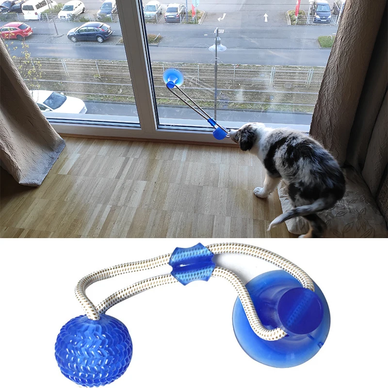 Dog Toys Pet Puppy Interactive Suction Cup Push TPR Ball Toys Molar Bite Toy Elastic Ropes Dog Tooth Cleaning Chewing Supplies - Image 2