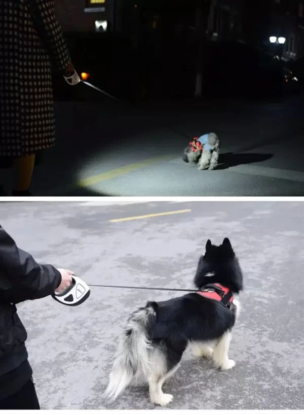 Pet Dog Retractable Leash With LED Shining 3m 5m Automatic Stretching Dog Hand Holding Fiber Rope Pet Supplies Leashes - Image 9