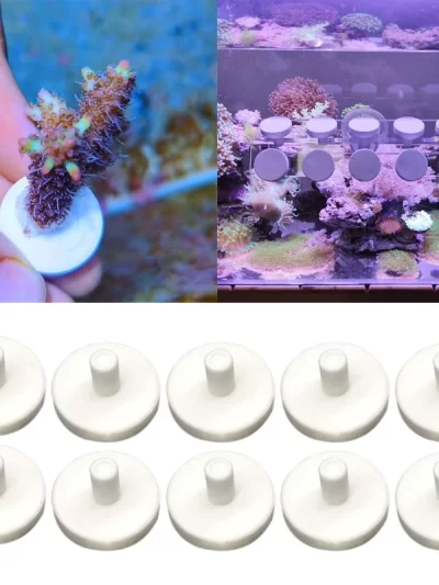 10pcs Pure White Ceramic Coral Frag Disks T-Shape Coral Base Support Aquarium Coral Reef Frag Fish Tank Supplies