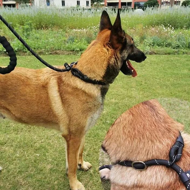 Reflective Pad Big Dog Leash for Training Walking Pet P Chain for Medium Large Dogs Malinois Collie Leashes mascotas Accessories - Image 4
