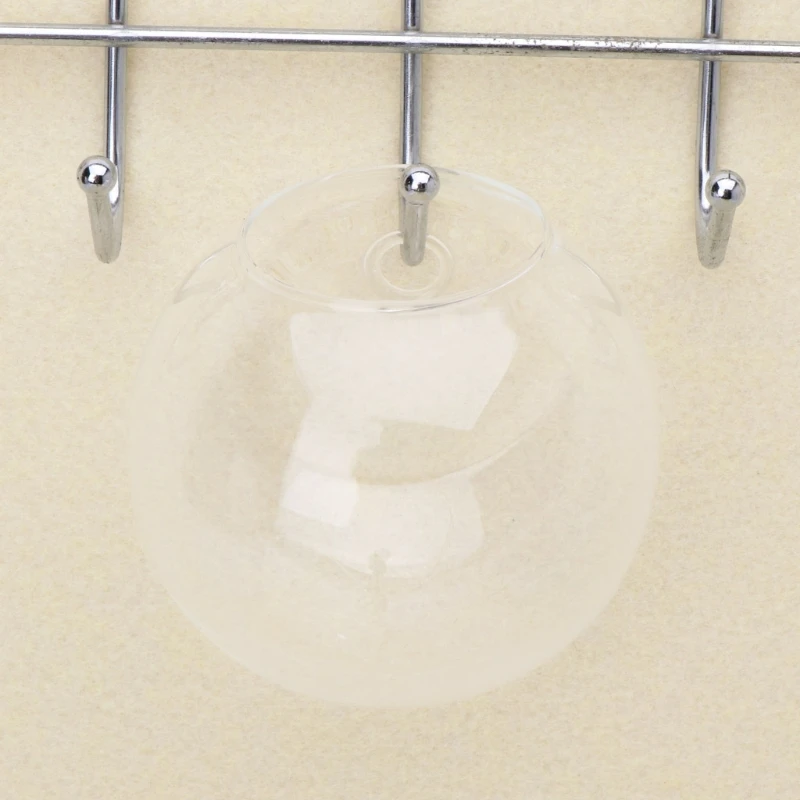 Glass Vase Wall Hanging Hydroponic Terrarium Fish Tanks Potted Plant Flower pot R7UB - Image 4