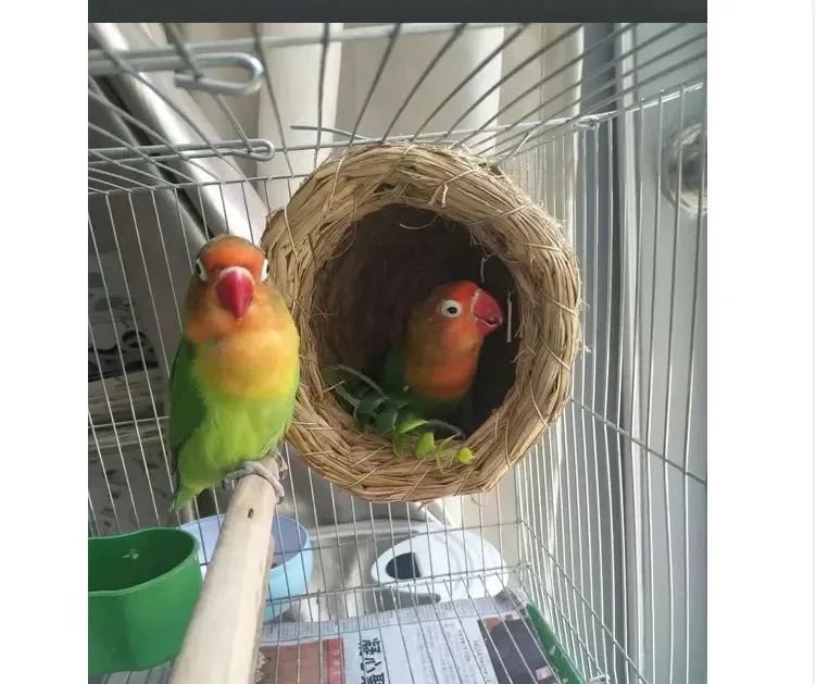 Handmade Straw Natural Bird Nest/Pigeon Bird House Parrot Nest Warm Pet Bedroom Courtyard Bird Cages Adornment - Image 9
