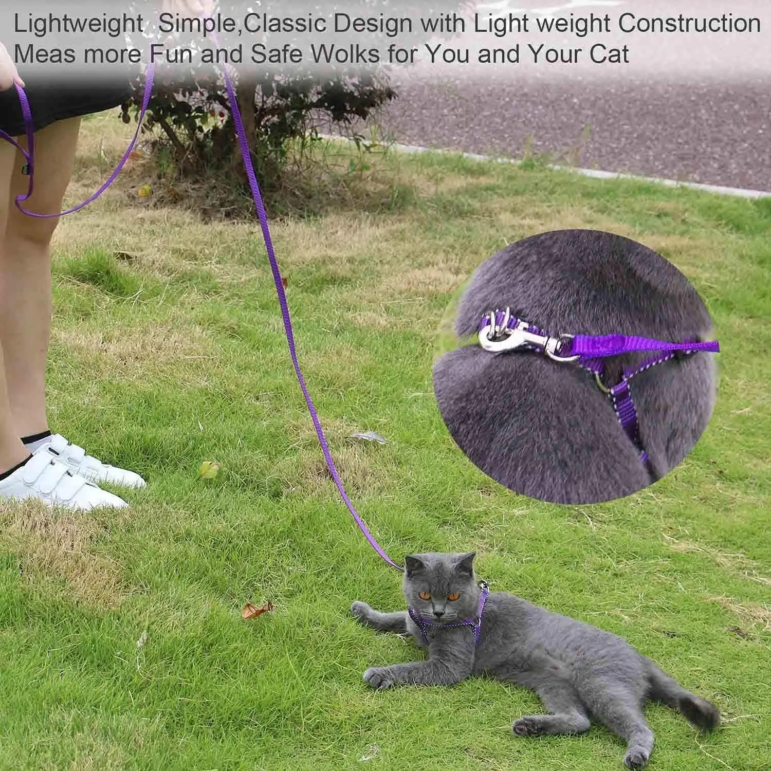 15m 30m Traction Rope Dog Leashes Long Line 2cm Wide Training Dog Leash Large,Medium and Small Dog for Training,Backyard Camping - Image 5