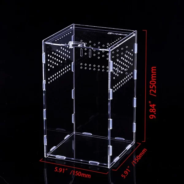 Reptile Habitat Terrarium Breeding Box Acrylic Transparent Insect Spider Lizard Scorpion Feeding Case Reptile Accessories - Image 11