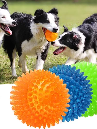 Pet Dog Toys Cat Puppy Sounding Toy TPR Soft Burr Tooth Cleaning Elastic Ball Outdoor Training Interactive Chew Toy Pet Supplies