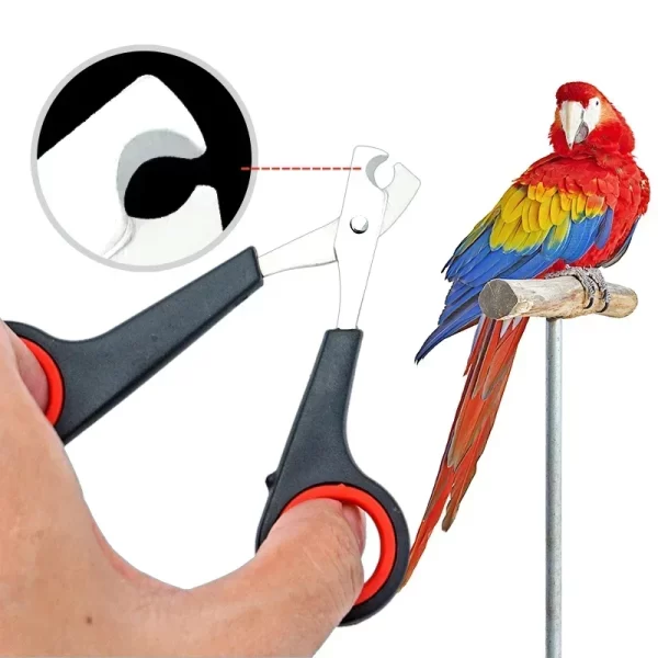 Parrot Nail Clippers Small Animal Accessories Beauty Tools Nail Clippers Dog Cat Bird Guinea Pig Animal Paw Scissors Pet Health - Image 4