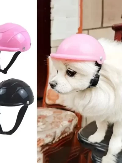 Adjustable Dog Helmet Wear Resistant Windproof Pet Motorcycle Helmet Cap Plastic Breathable Pet Safety Helmets