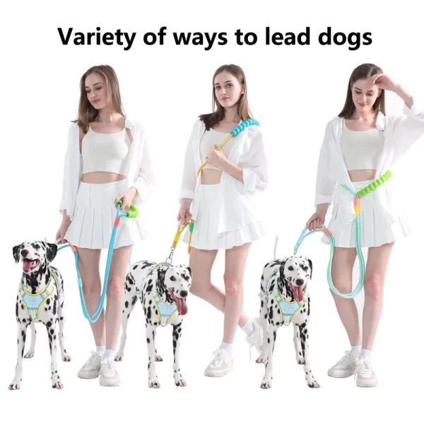 Versatile Pet Traction Leashes with a Comfortable Foam Handle - Image 3
