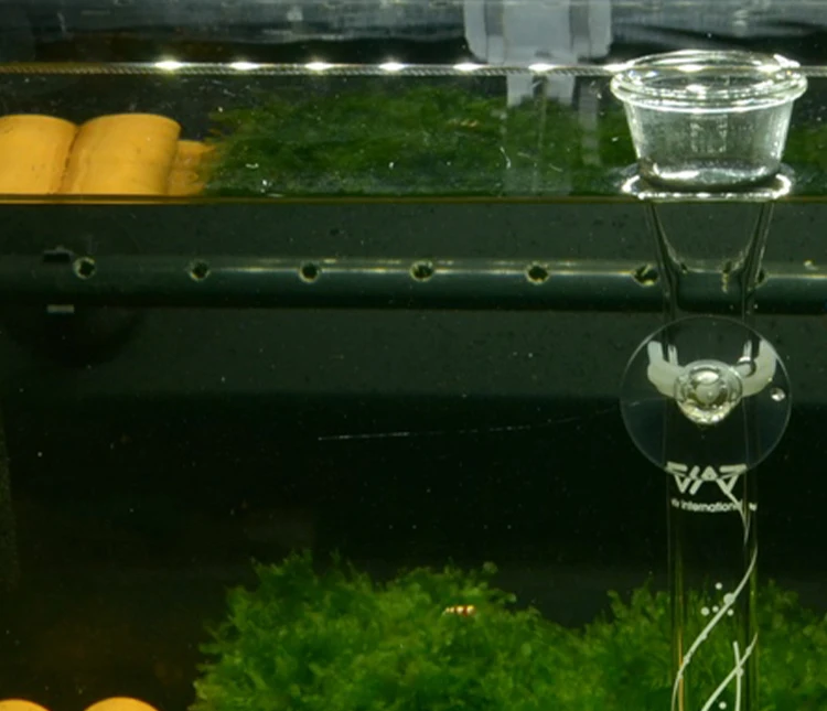 VIV Aquarium Supplies Crystal Shrimp Nest Glass Feeding Basin Feeding Tube Fish Tank Accessories ADA Quality - Image 15