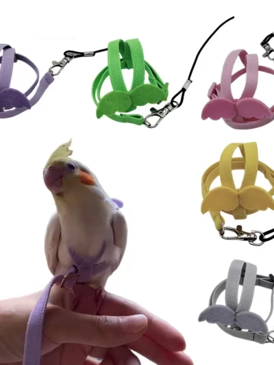 New Parrot Flying Harness Leash Suit Pet Bird Outdoor Flight Training Rope Cockatiel Supplies Macaw Accessories Stuff For Budgie