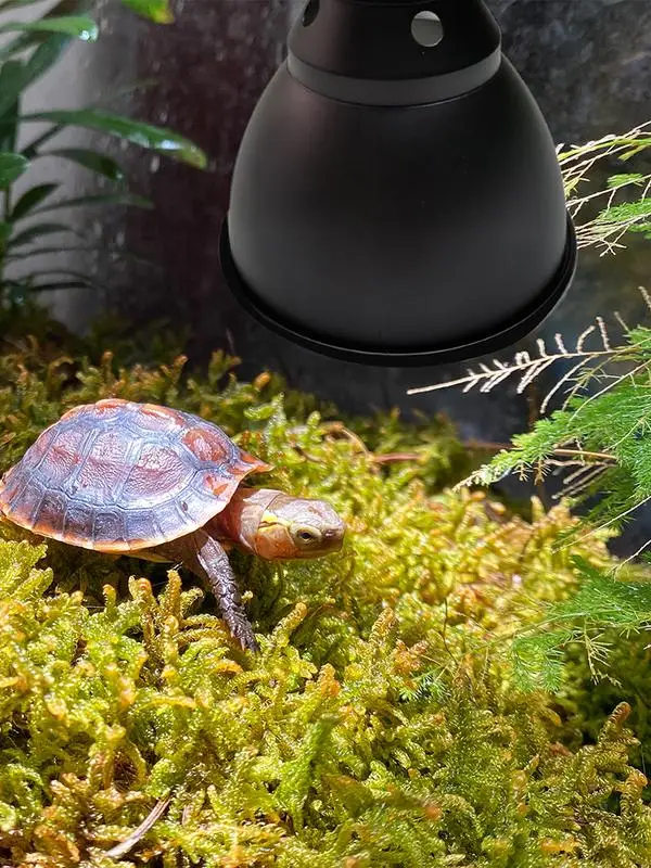 Reptile Dome Light Dome Heating Bulb Deep Dome Lampshade Optical Reflection Cover Heat Lamp Shade Bearded Dragon Tank Accessory - Image 5