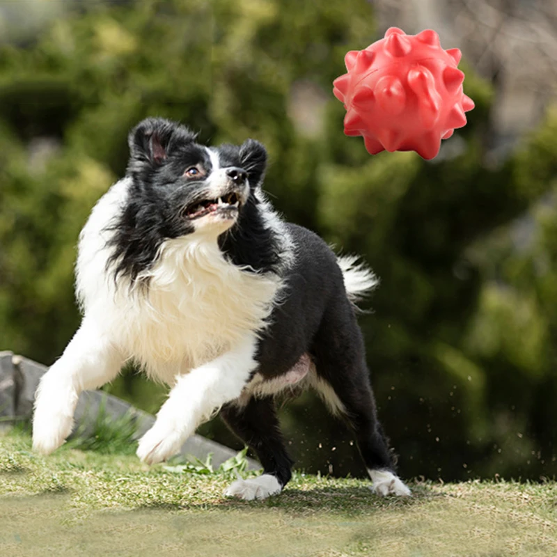 Durable TPR Pet Chew Toy Small Large Dog Molars Golden Retriever Labrador Interactive Education Toys Pet Supplies Accessories - Image 6