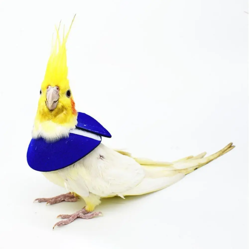 for Bird Neck Protective Adjustable Bird Accessories Bird Cloak Parrot Elizabethan Circle Bird Neck Sleeve Bird Recovery Collar - Image 4