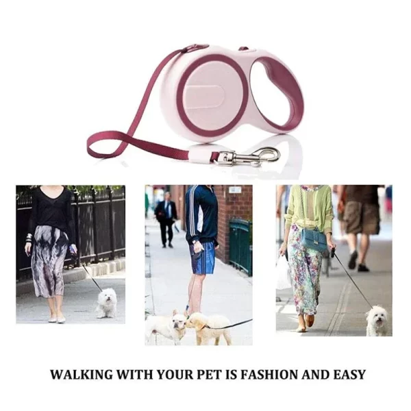 3/5M Pet Leash For Small Medium Dogs Durable Nylon Retractable Dog Walking Leash Leads Automatic Extending Puppy Dog Leash Rope - Image 5